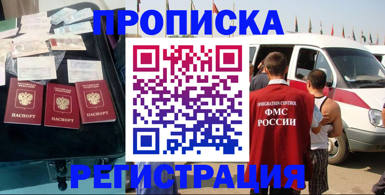 временная регистрация гарантия в Шали